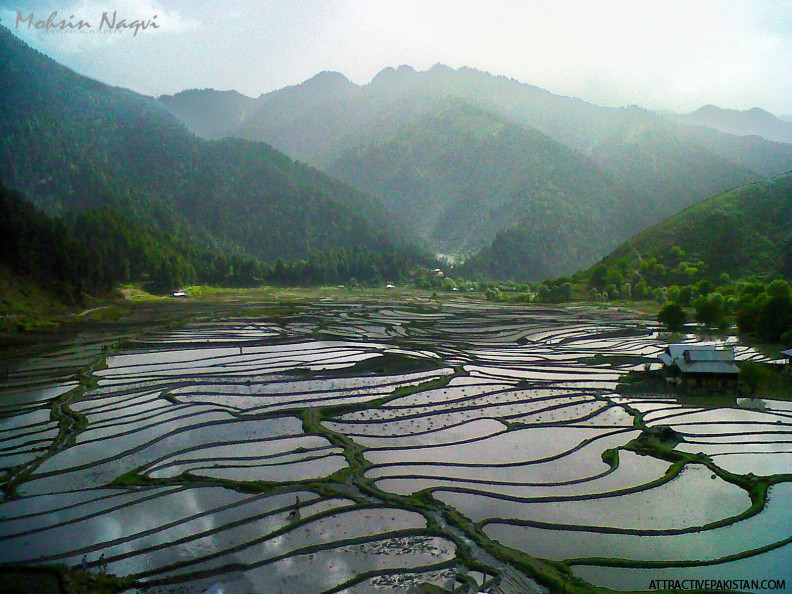 Leepa Valley (May 2012)
 -- Leepa Valley Azad Kashmir