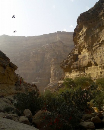 Nani Ka Mandir (Hingol (February 2016)
