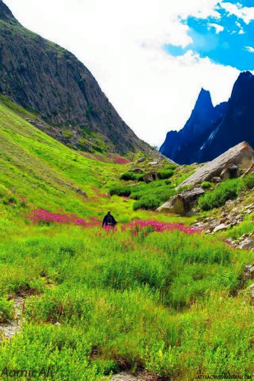 Lingsar trek along Charakusa Glacier (August 2014)
