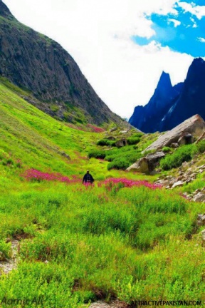 Lingsar trek along Charakusa Glacier (August 2014)
