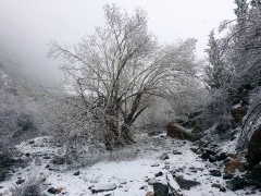 Chenkhil Campsite (2015)
