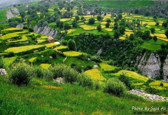 Arandu Valley (Skardu (2009)
