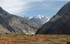 from Jhula from Askole (2015)
