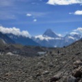 VigneGlacierGondogoro (2014)
