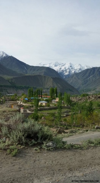 Astore (May 2016)
