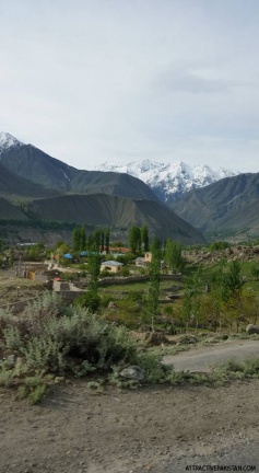 Astore (May 2016)
