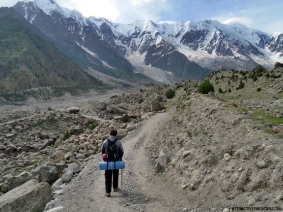 towards Rupal Valley from Tarshing Valley (July 2015)
