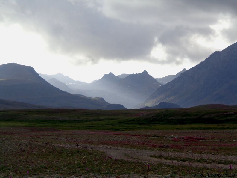 0060-Deosai-August2015.jpg