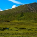 Deosai (August2015)
