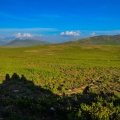 Deosai (August 2015)
