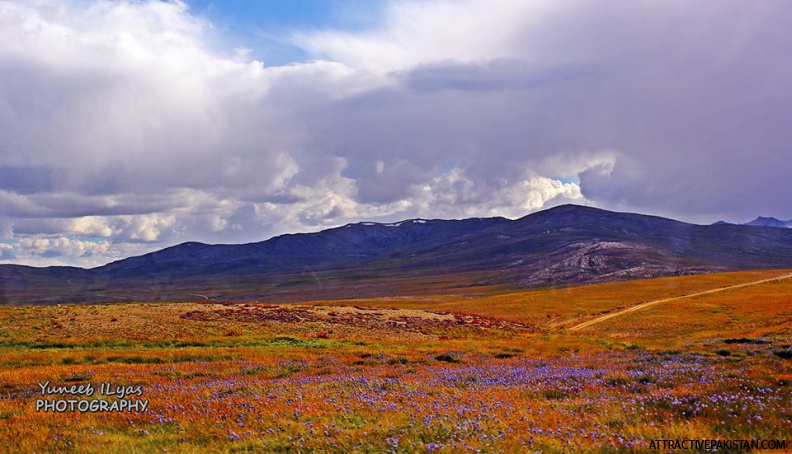 0528-Deosai-September_2015.jpg