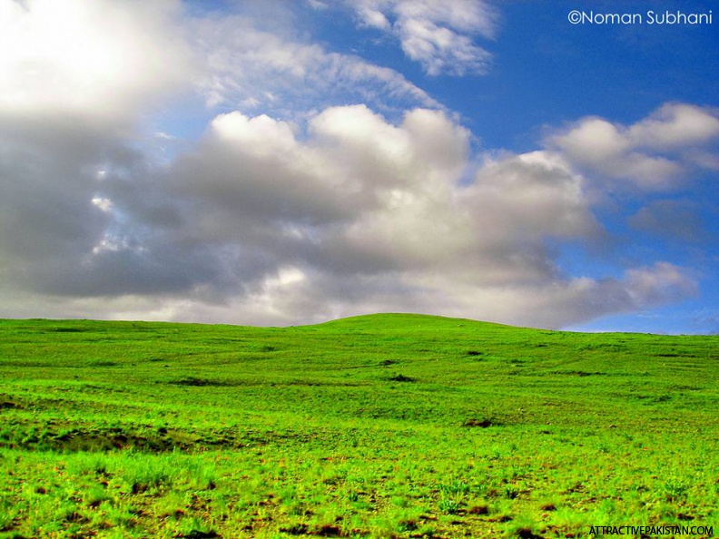 Deosai (July 2008)
