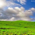 Deosai (July 2008)
