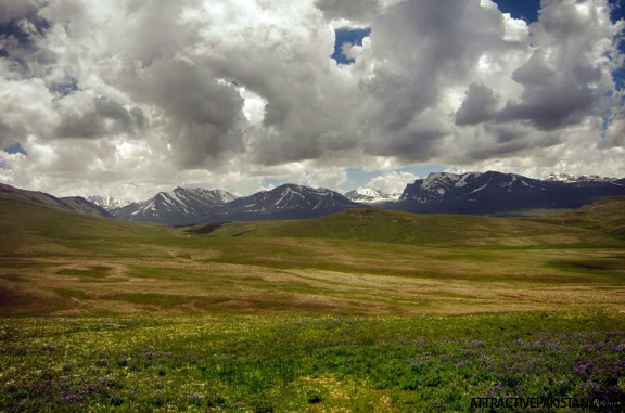Deosai (July 2015)
