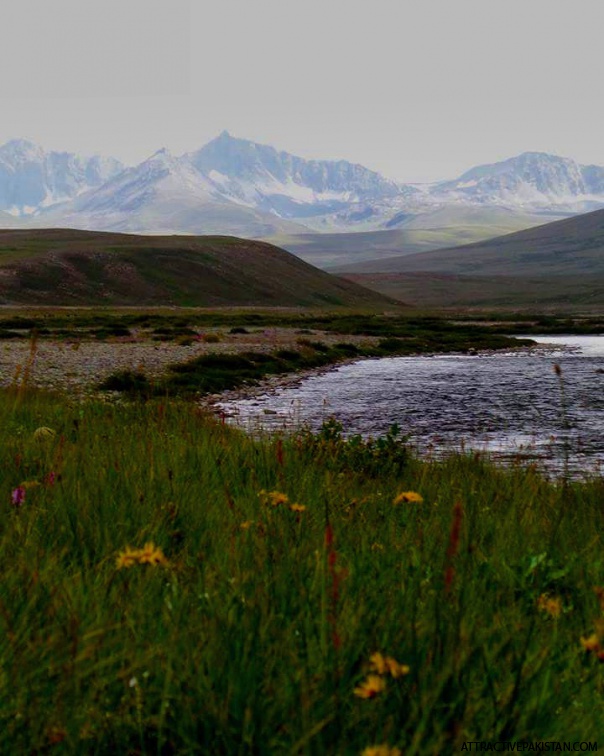 Deosai (August 2015)
