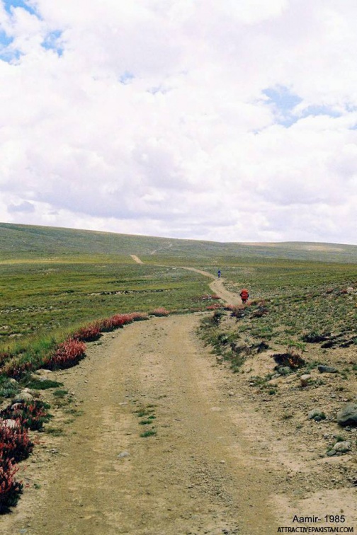 Deosai (1985)
