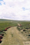 Deosai (1985)
