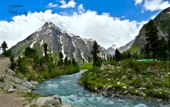 from Minimarg to Rainbow Lake Domail (June 2014)
