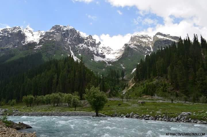 0300-Minimarg-June_2014.jpg
