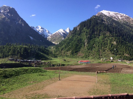 Minimarg (May 2015)
