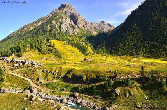 Minimarg (2015)
