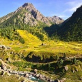 Minimarg (2015)
