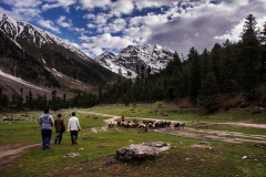 WaytoRamaLake (June2015)
