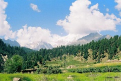 Rama Meadows (1985)
