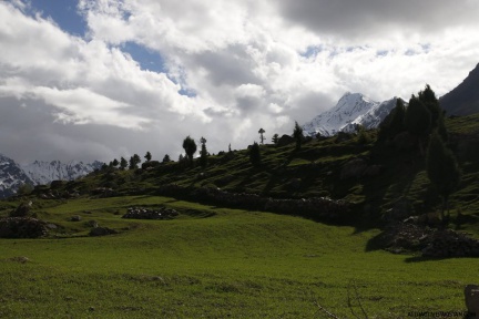 Rama Meadows (May 2015)
