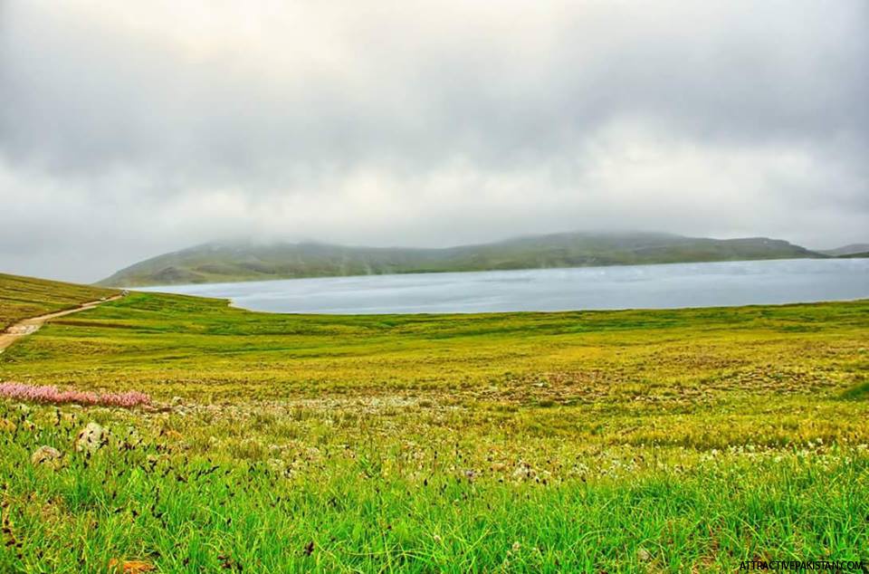 Sheosar Lake (August 2014)
