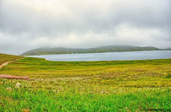 Sheosar Lake (August 2014)
