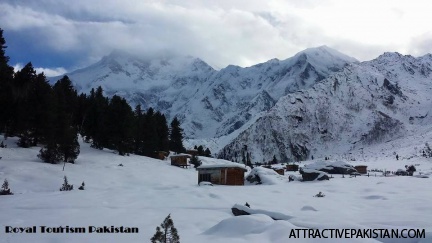 Byaal Camp Fairy Meadows (January 2016)
