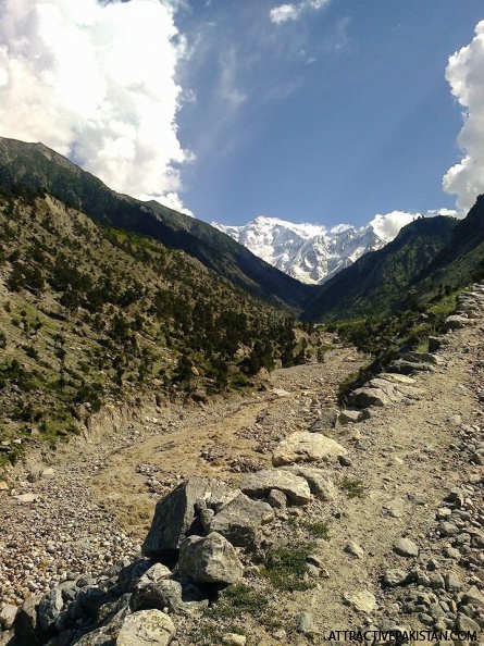 0648-Fairy_Meadows_Trek-July_2015.jpg
