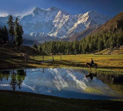 Fairy Meadows (August 2015)
