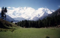 Fairy Meadows (1996)
