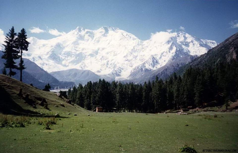 Fairy Meadows (1996)
