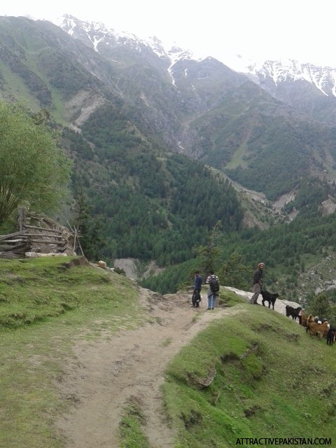 Fairy Meadows (2015)
