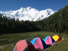 Fairy Meadows (June 2013)
