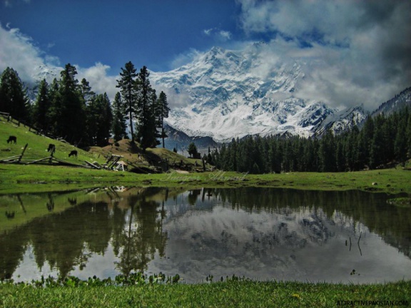 Nanga Parbat (May 2013)
