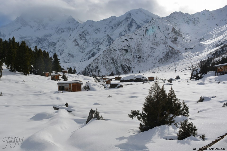 Nanga Parbat (January 2016)
