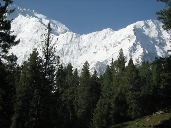 Nanga Parbat (July 2010)
