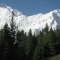 Nanga Parbat (July 2010)
