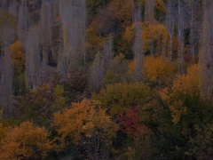Karimabad Hunza (2014)
