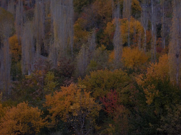 Karimabad Hunza (2014)
