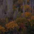 Karimabad Hunza (2014)
