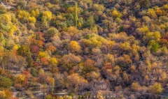 NagarValley (October2013)
