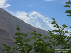 Rakaposhi (August2015)
