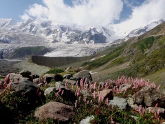 DumaniRakaposhi (August2015)
