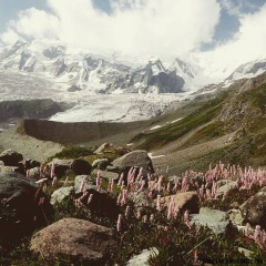 Rakaposhi from Tagaphari (August 2015)
