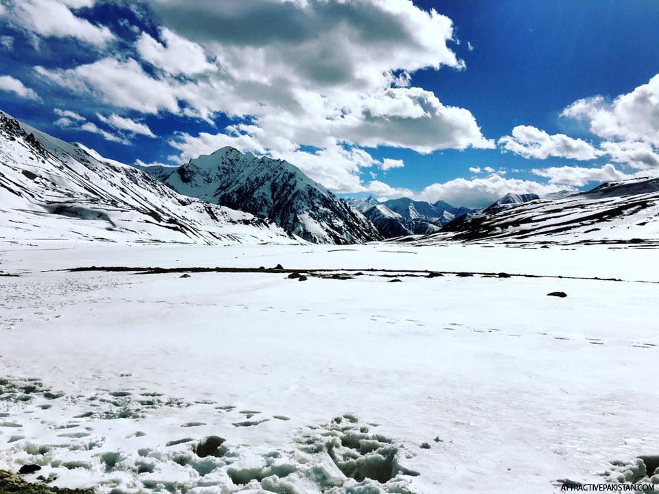 Khunjrab (May 2016)
